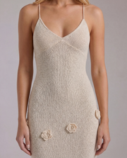 Suki Satin Slip Maxi Dress Beige view 5
