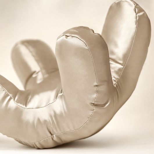 Choglow Beauty Sleep Pillow